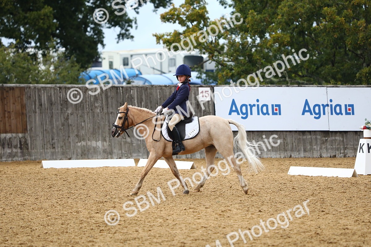 SBM_39055 - D21 - Junior Championship Intro 1
