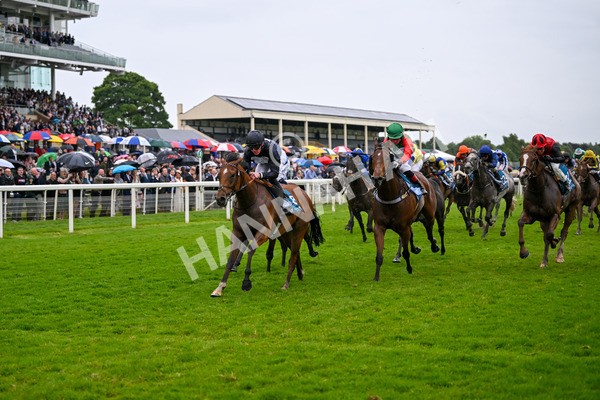 150624-Race 7-Holkham Bay-8195 - Race 7 5.25pm Fordy Marshall Land And Property Consultants Handicap
