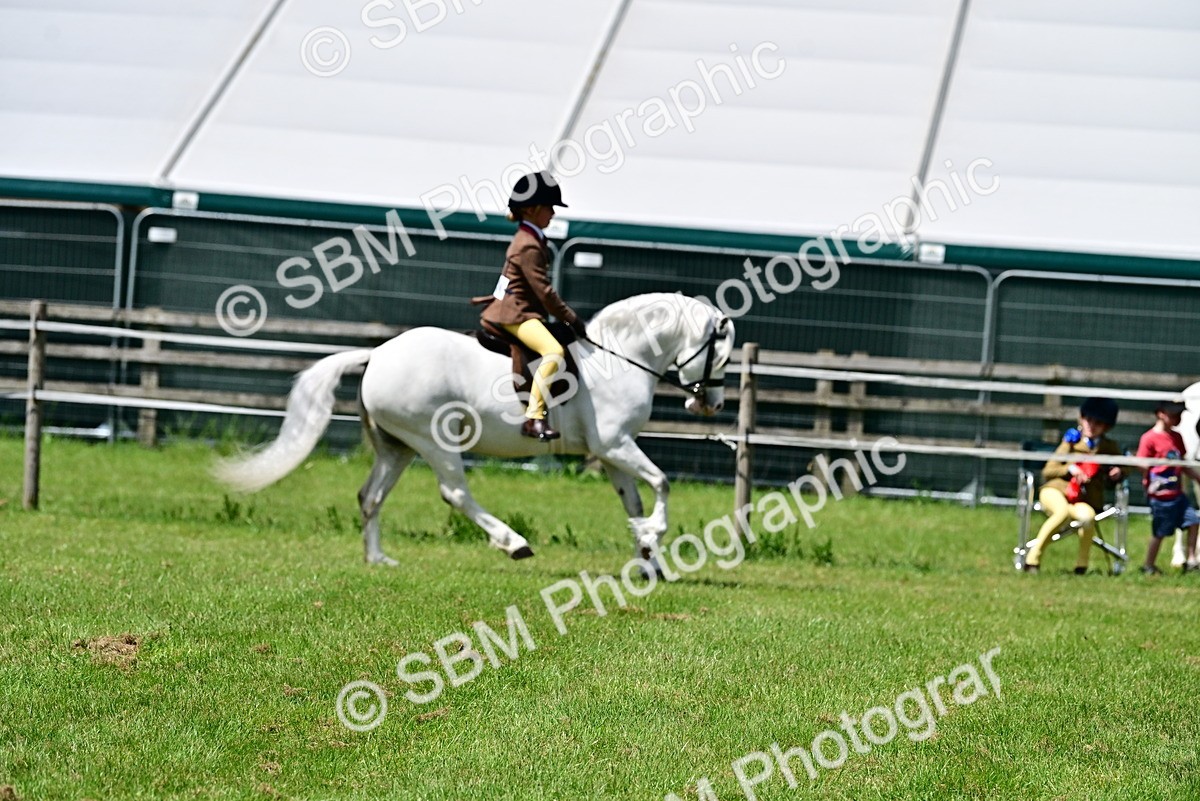 SBM_06060 - Class 59-60 - TSR M&M  Lear Rein and First Ridden Amateur of the year