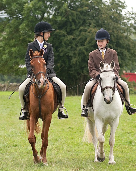 43 - Moniaive Horse Show 2010