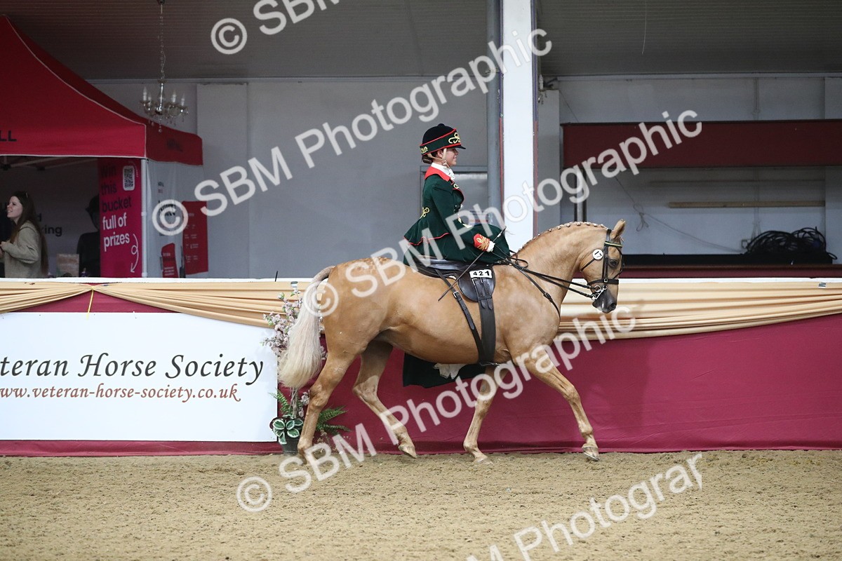 SBM_11531 - Class 105 Ridden Costume- Side Saddle