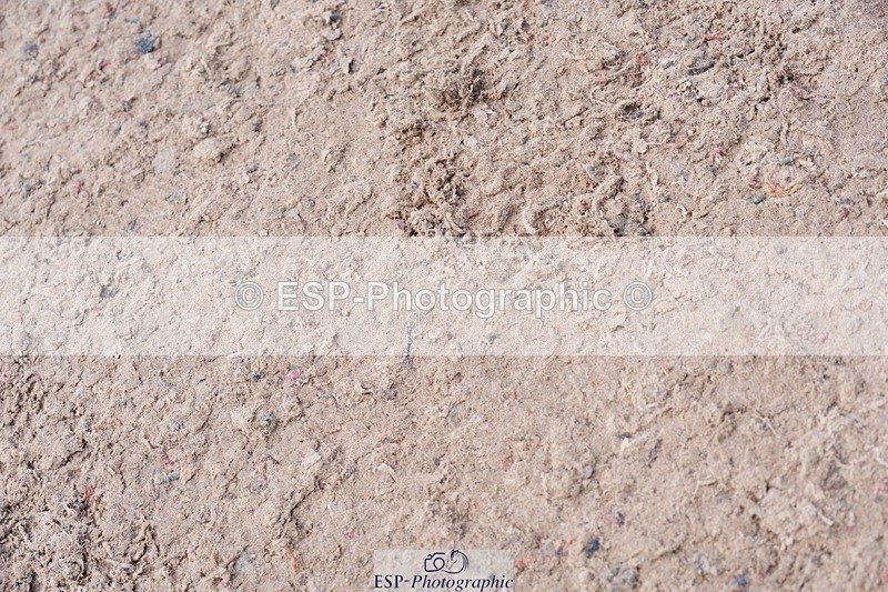 250525-100840-09061 - Cls 32 A&B Snr Brit Nov & 90cm Open