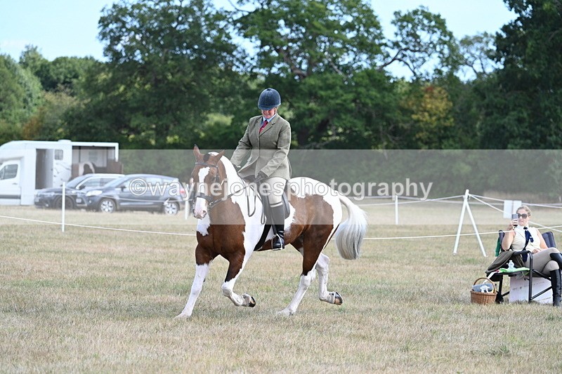 WJ7_6902 - Class 14 Ridden Coloured