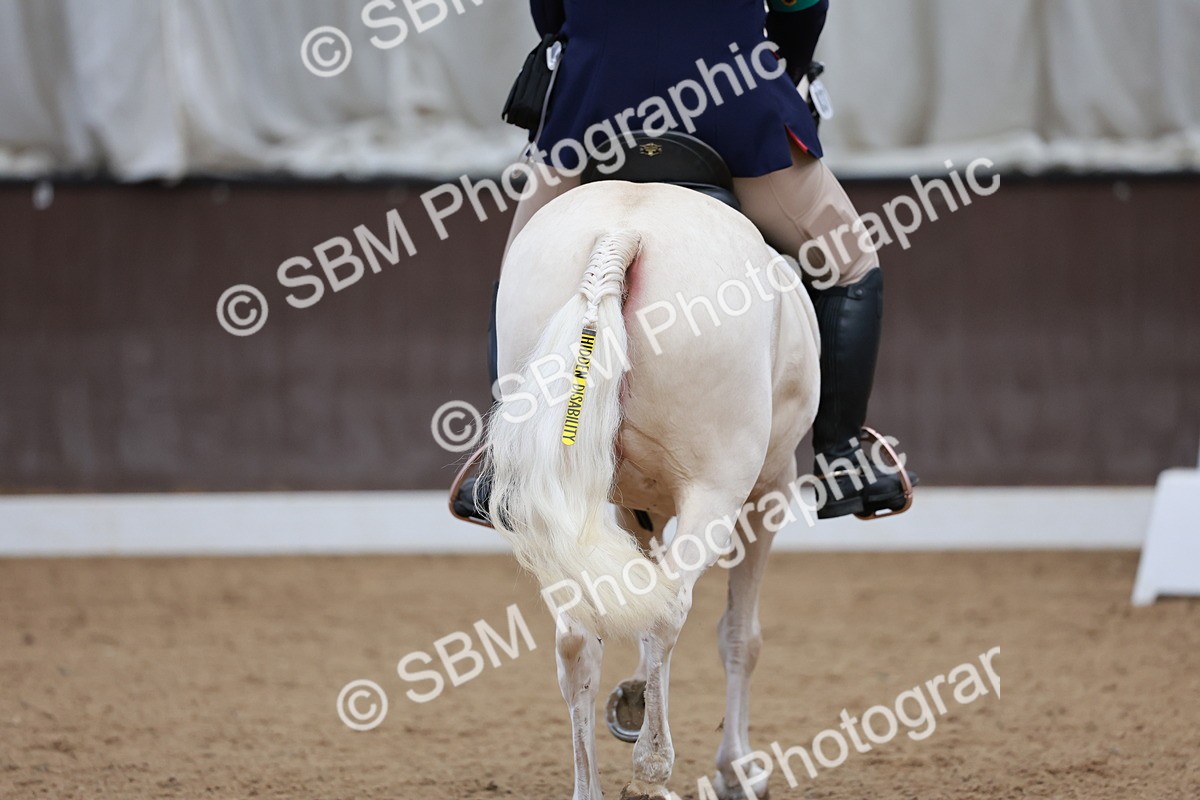 SBM_000686 - Class 2 - Intro 4