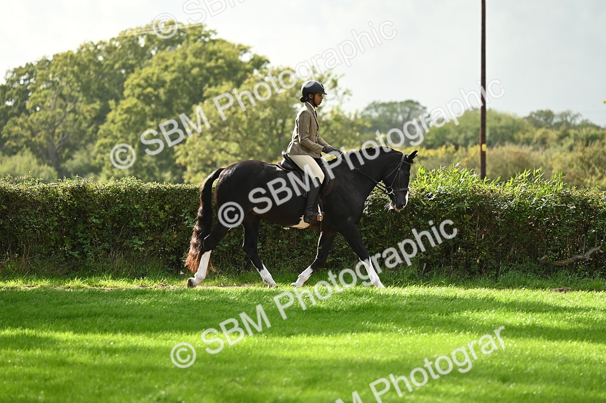 SBM_26307 - S6 - Novice & newcomer Ridden horse