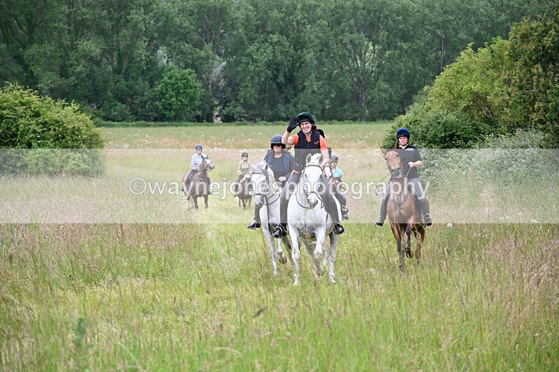 WJ6_8399 - Camera 1 Gallops