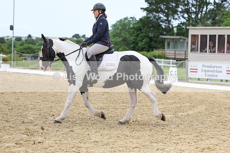 3E7A9452 - Class 2: Intro 1 2024 Section B