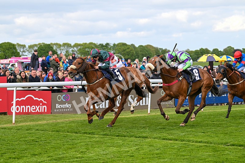 050525-Race 6-Copper And Five-5245 - Race 6