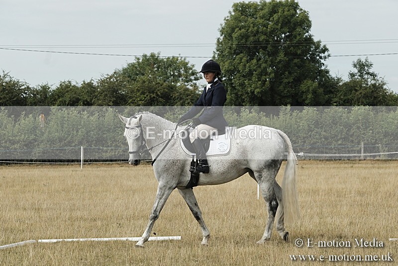 _PJP5659 - Dressage Classes BVRC Show 2018