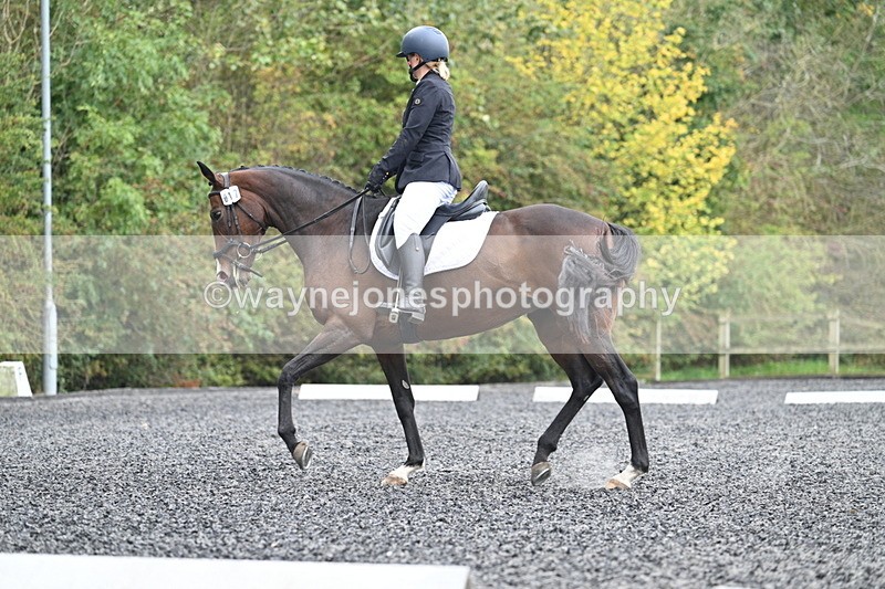 WJ7_3820 - Time 11:04 to 11:38