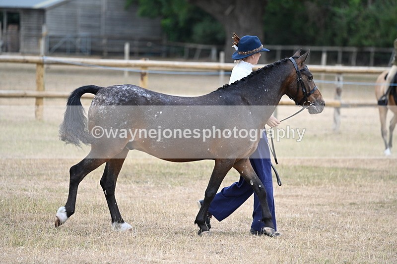 WJ6_7794 - Class 10 Coloured in Hand