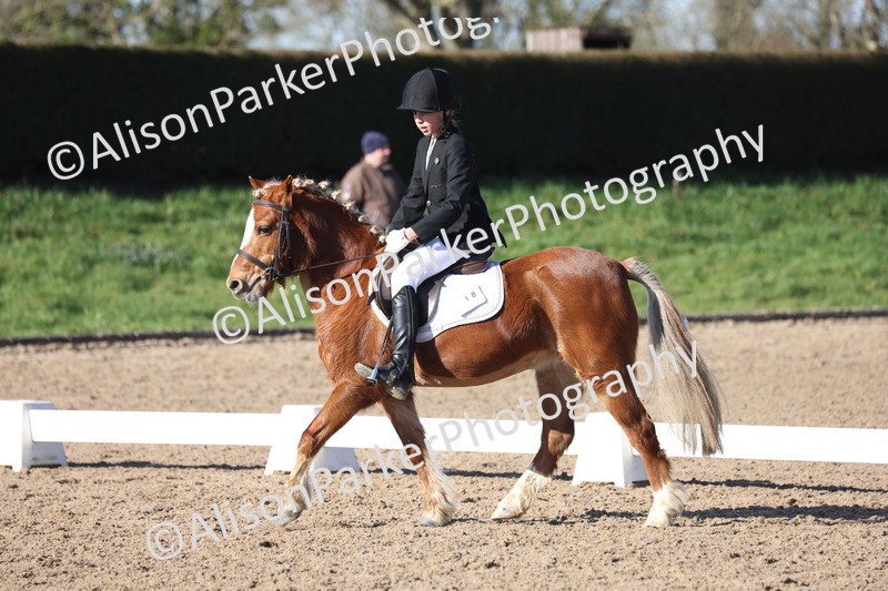 20260214-0357 - Class 4 - Novice 2