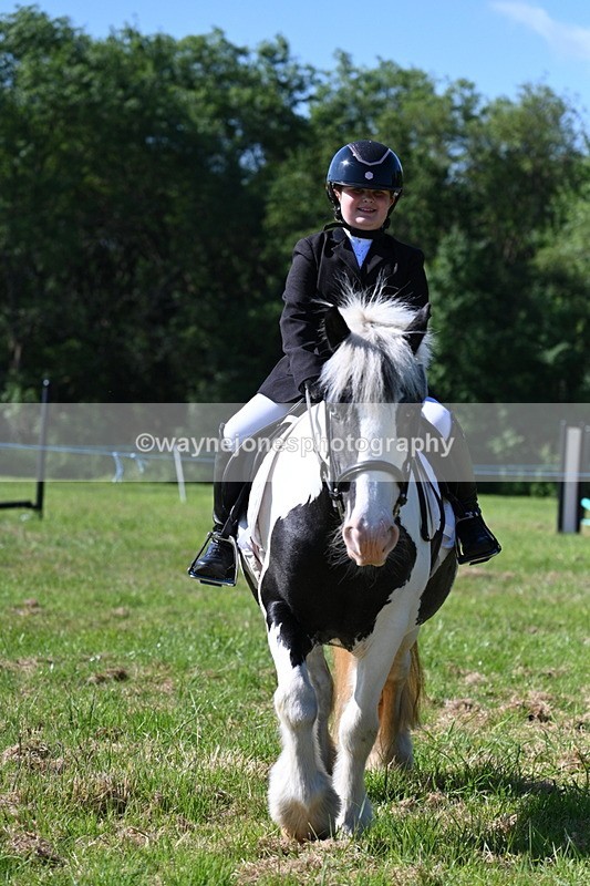 WJ7_0341 - Class 8 First Rally Pony