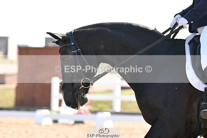 250816-093734-02942 - 084-Nicki.ReedWoodbank.Merlin