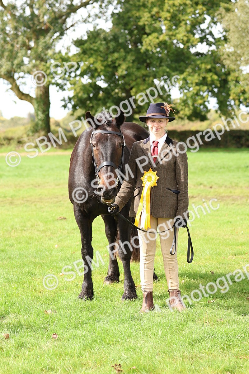 SBM_40799 - S25 -  Veteran In Hand