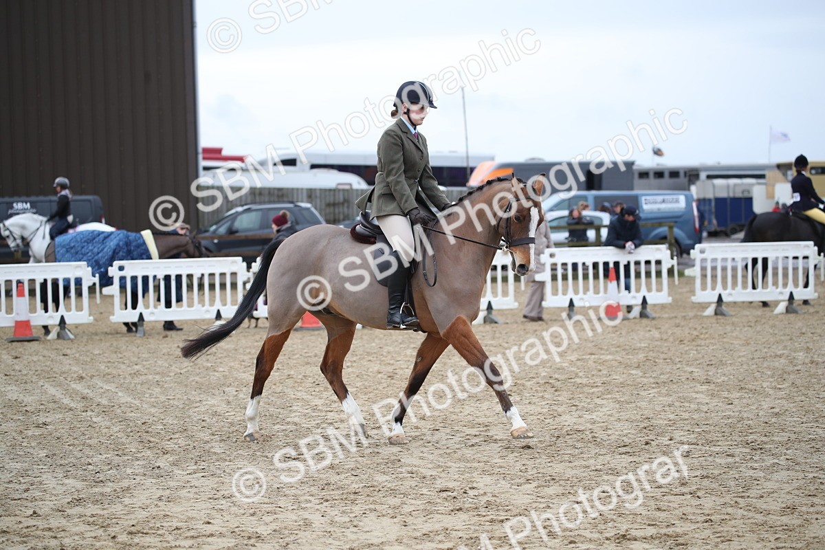SBM_004757 - Class 5-9 - NPS In Hand-Show Hunter-Intermediate Ridden Inc Ridden Championship