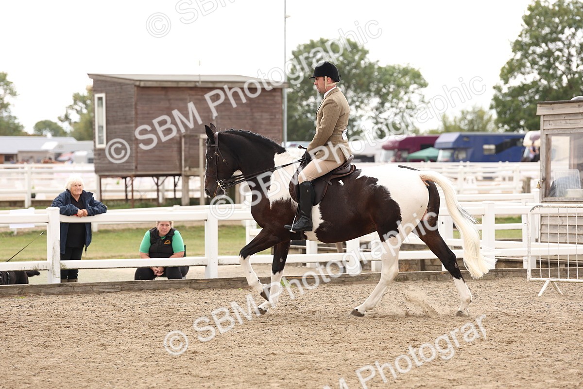 SBM_02937 - Class 53 - Ridden Competition Horse/Pony