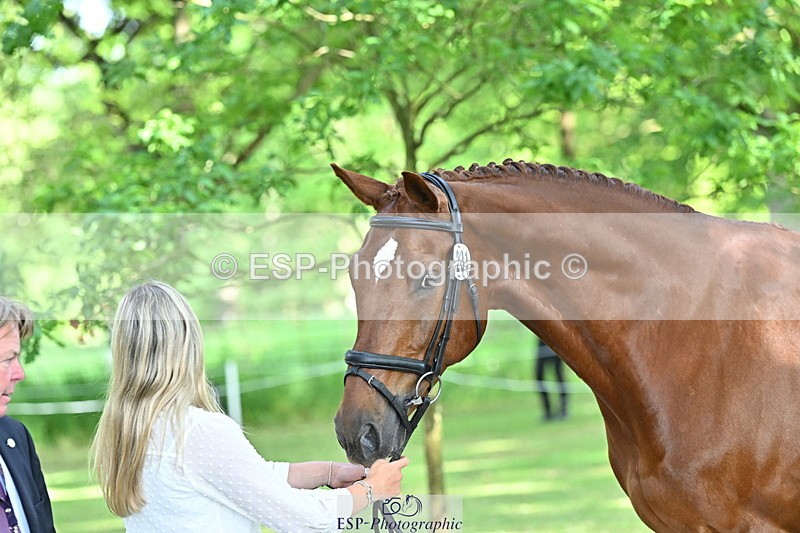 250521A-163302-01213 - C-231-Alannah.Dunstan-JUMPING.STAR.J.W.B