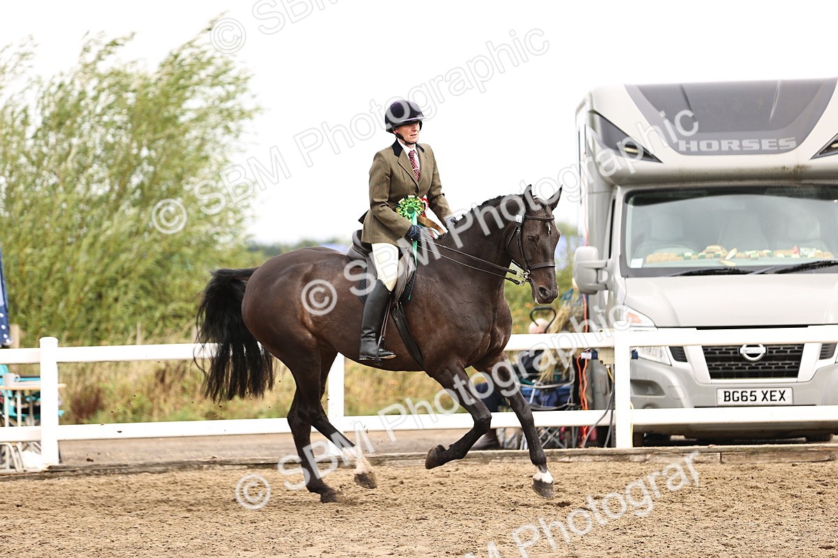 SBM_00711 - Class 53 - Ridden Competition Horse Pony