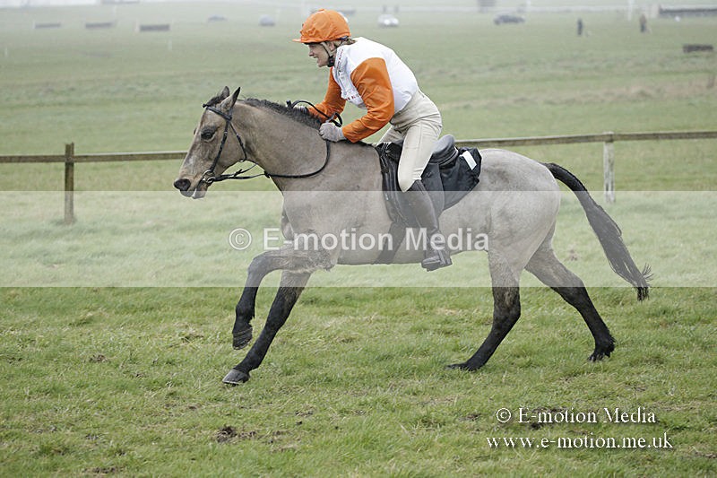 PtP 150320 0088 - New Forest Point-to-Point Larkhill 15/03/20