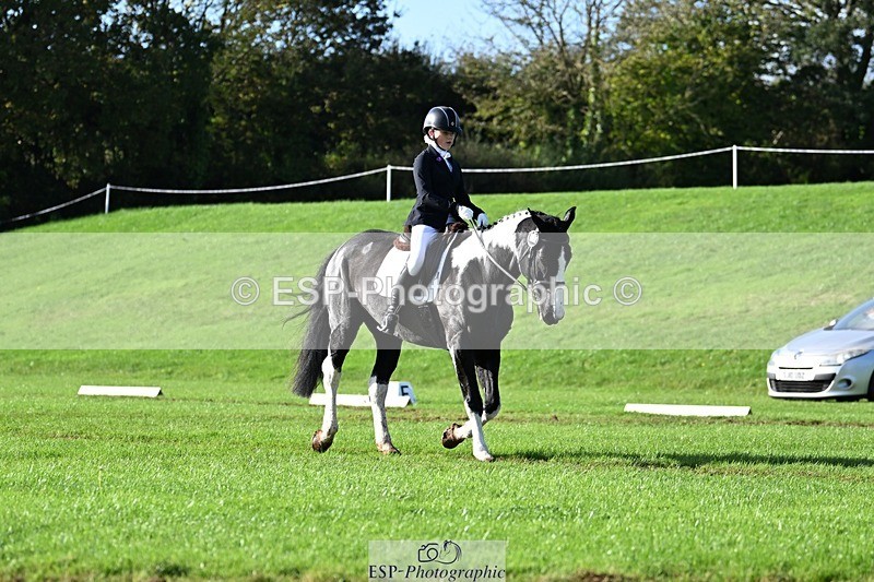 241025-111226-07098 - 544-Natasha.Crapper-KILCORBAN.MY.FAIR.LADY