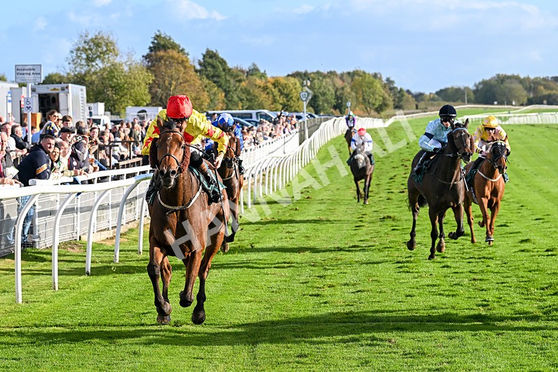 191024-Race 5-Vince Le Prince-4482 - Race 5