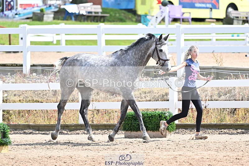 240717A-150537-02526 - Trot Up 3pm to 4pm