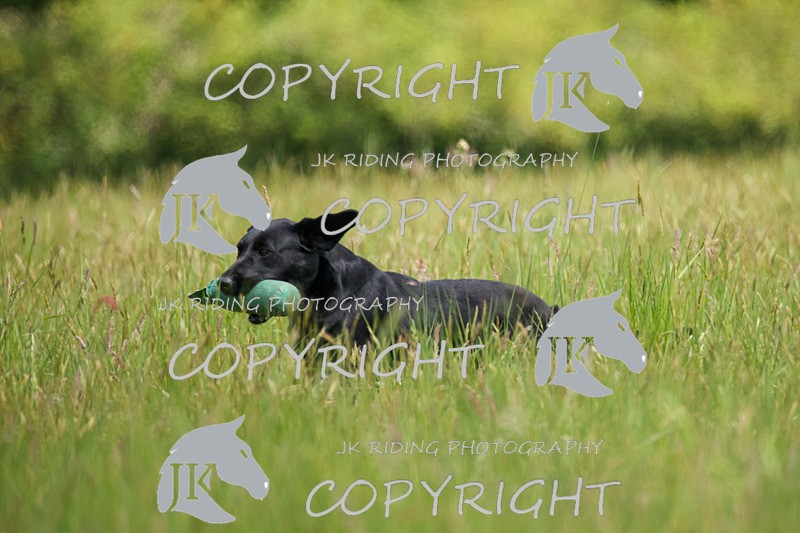 2R6A8620 - 36 Harriet