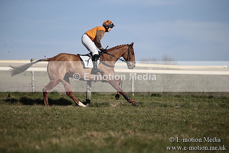 PtP 240218 474 - Vine & Craven Hunt Point-to-Point Barbury racecourse 24/02/18