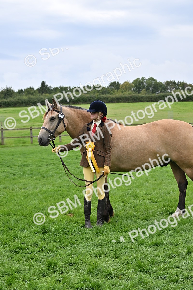 SBM_63330 - S49 - Mountain & Moorland In Hand Large Breeds
