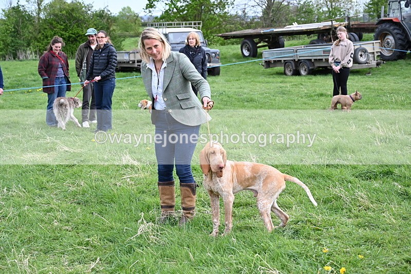 WJ6_8164 - Class 2 Best Pedigree