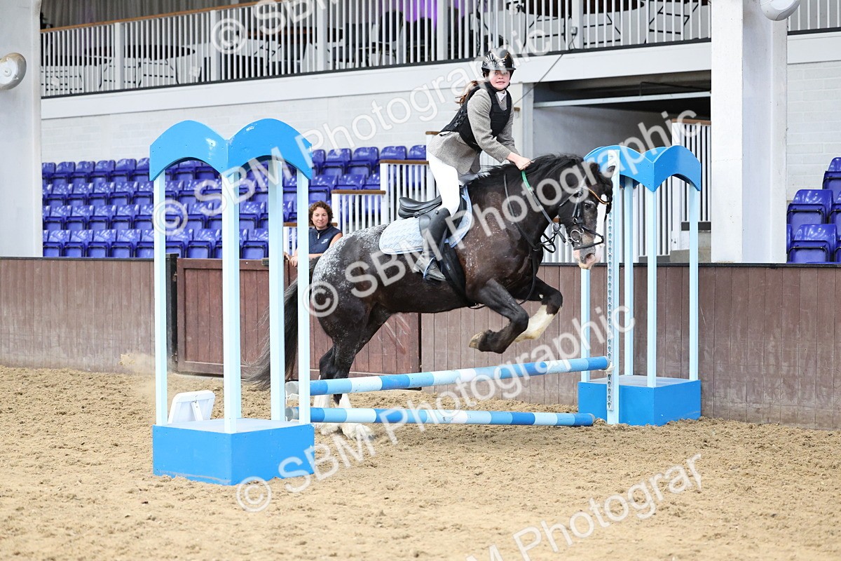 SBM_007719 - Class 3 - 60cm showjumping