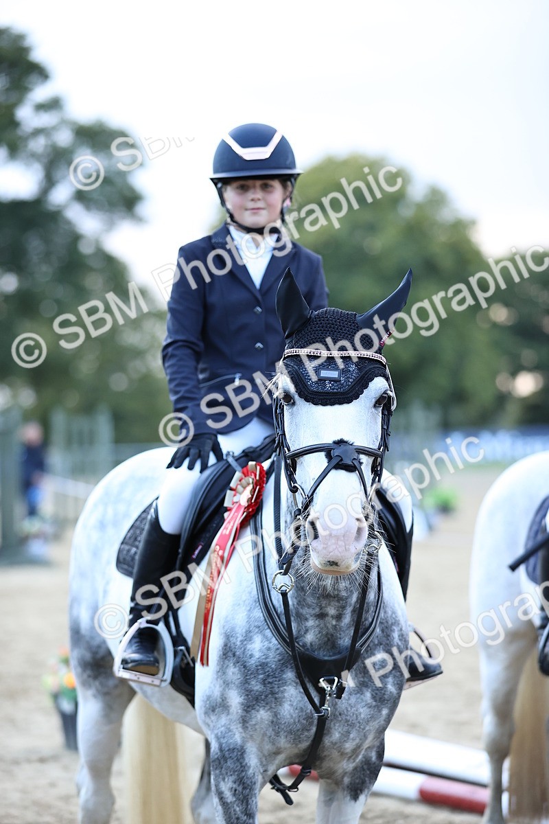 SBM_54423 - Supreme Championship 70cm 75cm