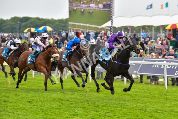 180523-Race 6-Cuban Thunder-9869 - Race 6 4.45pm Frank Whittle Partnership ebfstallions.com Maiden Stakes