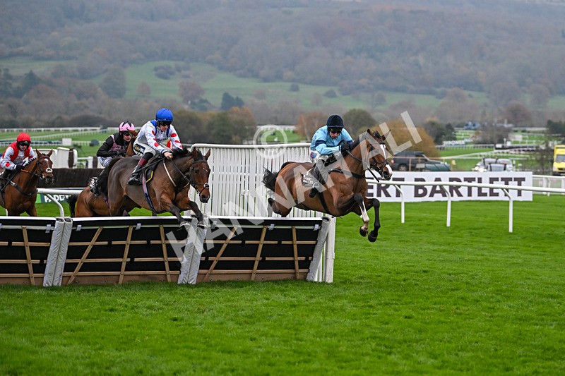 151124-Race 5-Potters Charm-8391 - Race 5