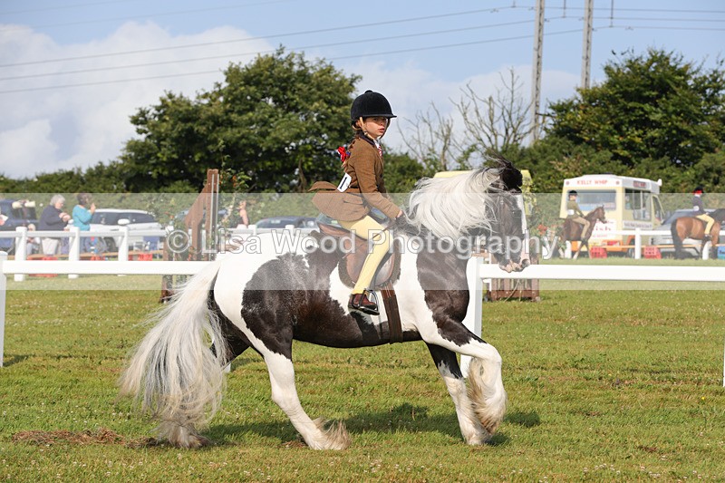 1X9A3257 - Class 28: Ridden Native/Trad Coloured Pony