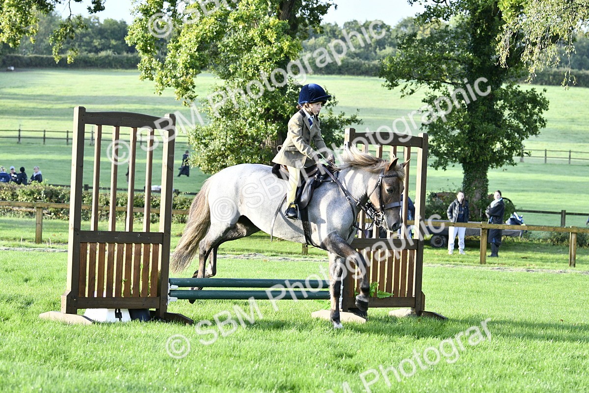 SBM_35387 - S30 - Nursery Stakes Working Hunter Pony