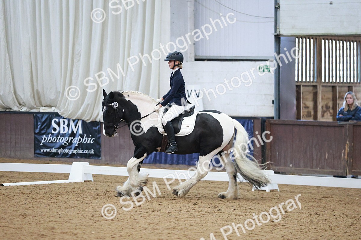 SBM_004568 - Ring 3 - International -  Working Hunter Classes 23-2-25