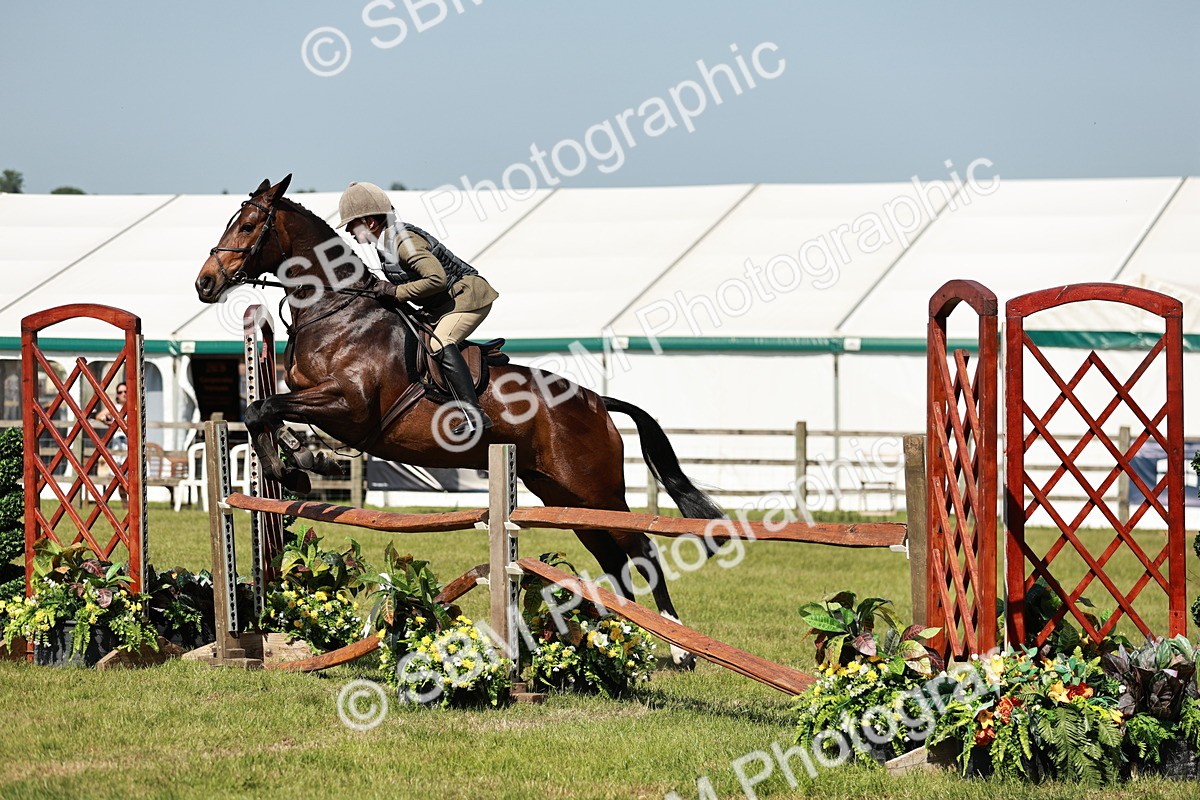 SBM_18352 - Class 112-113 - BSPS LIHS Working Sports Pony