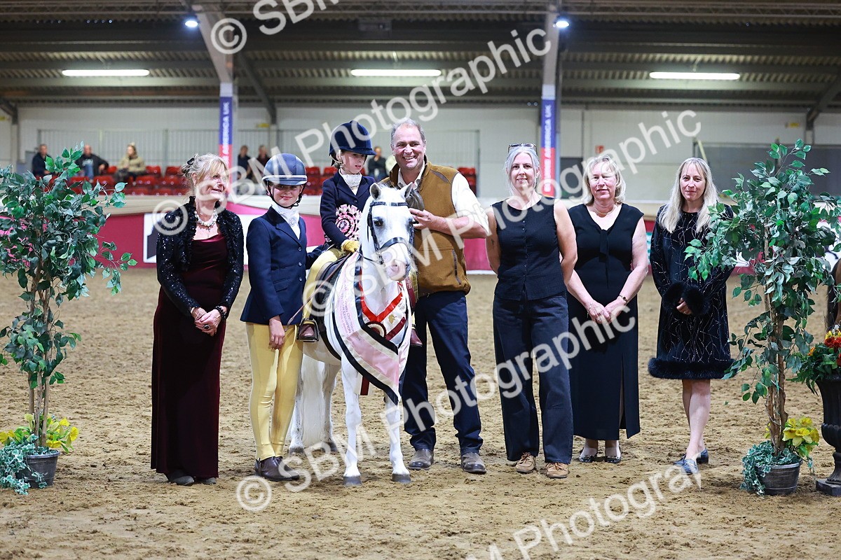 SBM_14687 - Class I - Ridden Pony Champ