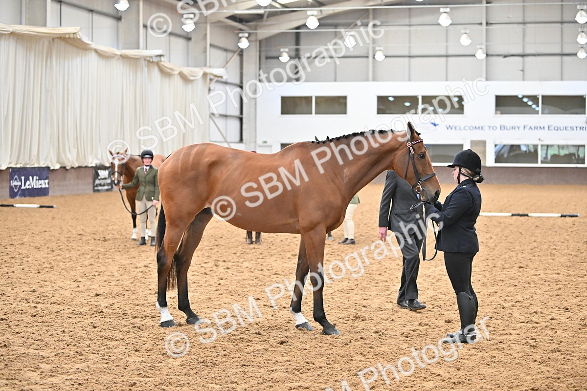 SBM_000150 - Class 6 - BSHA In Hand Racehorse to Show Horse