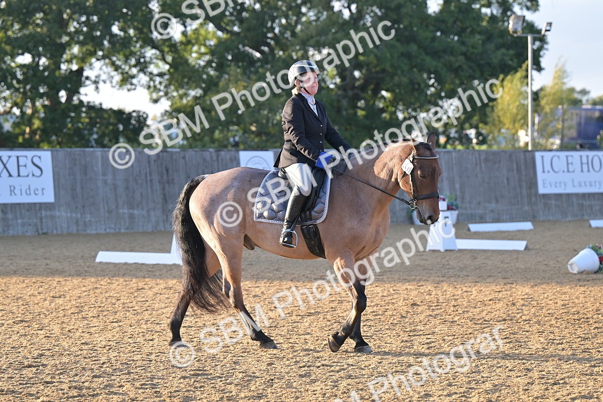 SBM_13292 - D3 - Small Tour Championship Intro 3