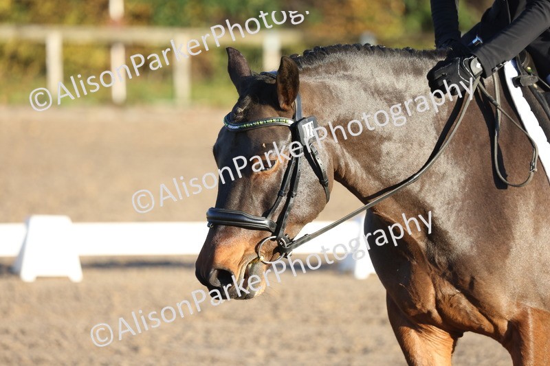 20251102-0131 - Class 1 - Prelim 5