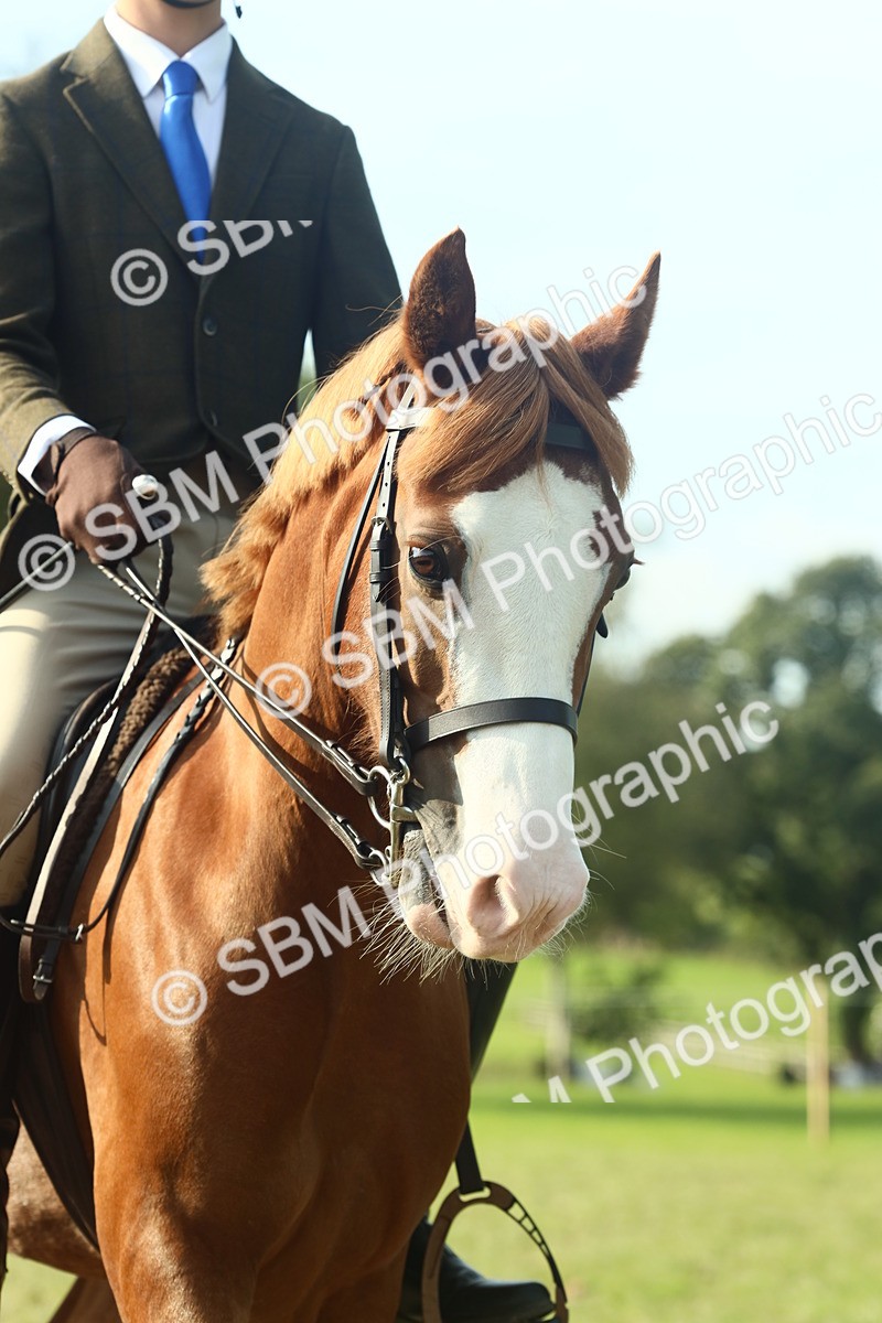 SBM_59929 - S38 - Starters Ridden Showing