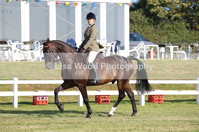 3E7A5362 - Class 2: Rising Star Large Hack/Riding Horse