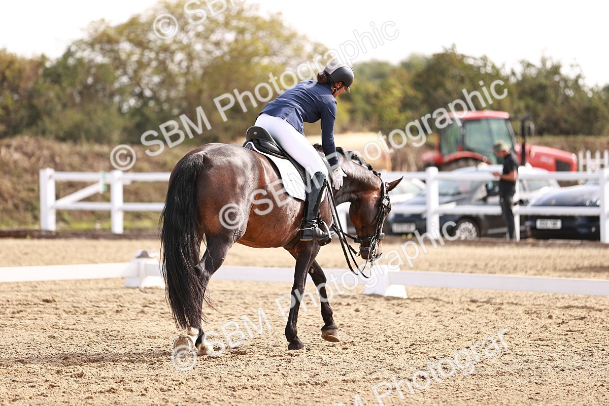 SBM_017582 - Class 11 - Advanced Medium 6