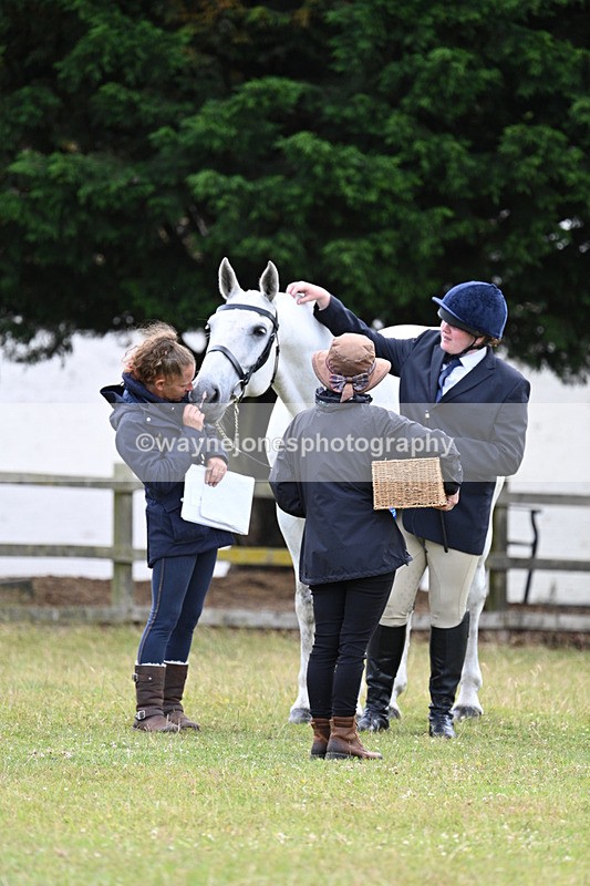 WJ7_7164 - Class 5a Most Handsome Gelding in Hand