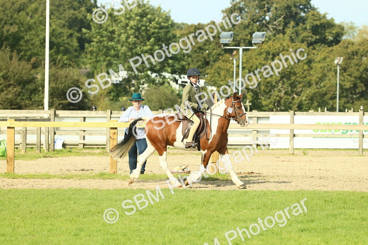 SBM_68911 - S58 - Mini Show Cob Ridden