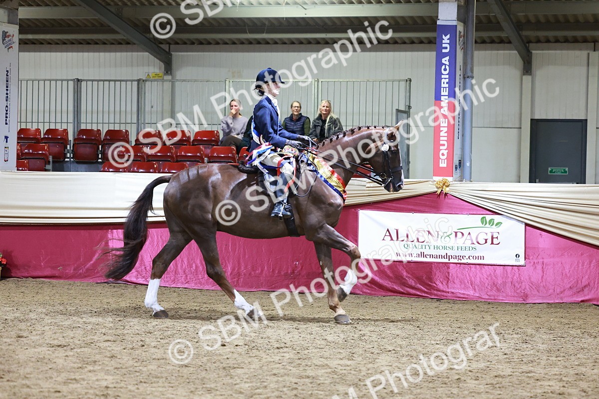 SBM_20721 - Class J - Foreign Breeds Champ