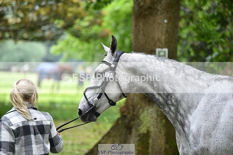 240522-165214-01218 - 226-CLONSHIRE_ON_TREND-Heidi_Coy